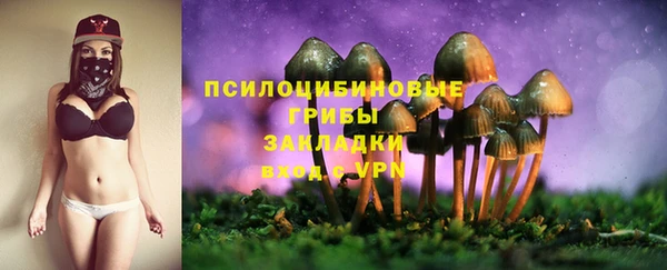 дмт Семёнов