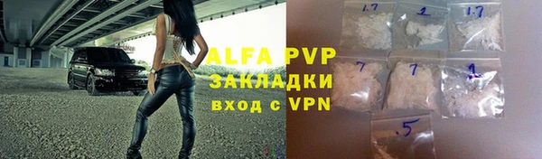 стаф Алексин