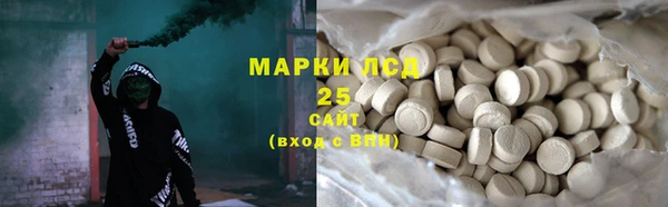 стаф Алексин