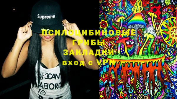 стаф Алексеевка