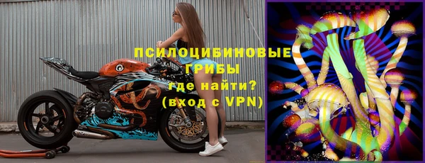 стаф Алексеевка