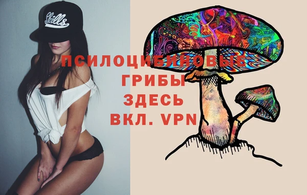 винт Алзамай