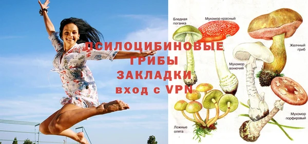 винт Алзамай