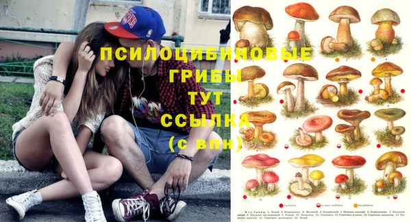 дмт Семёнов