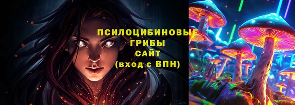стаф Алексин